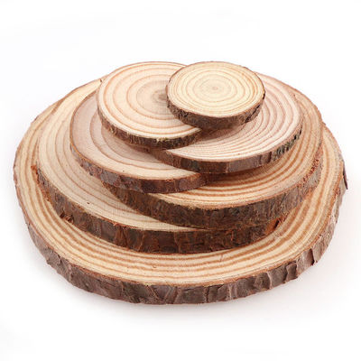 16CM Unfinished Natural Wood Slices Wooden Discs Crafts