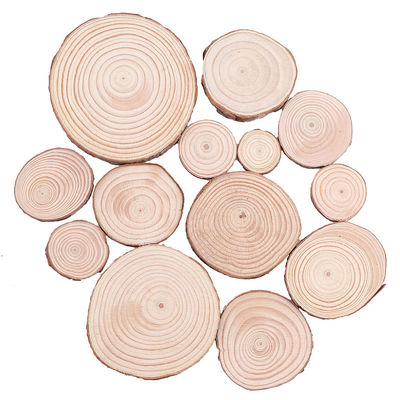 16CM Unfinished Natural Wood Slices Wooden Discs Crafts