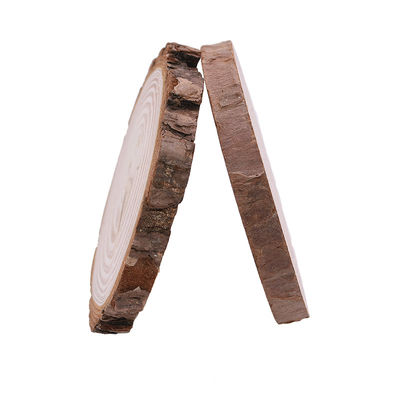 Bark Log 12cm Unfinished Wood Crafts  Natural Wood Slices