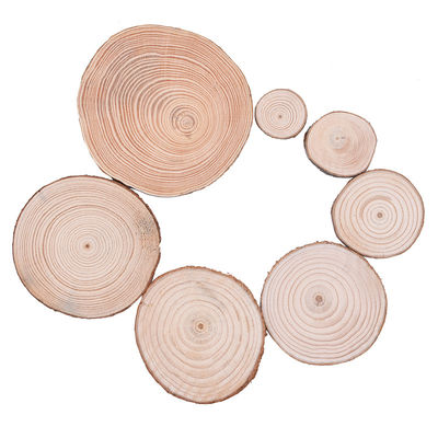 Bark Log 12cm Unfinished Wood Crafts  Natural Wood Slices
