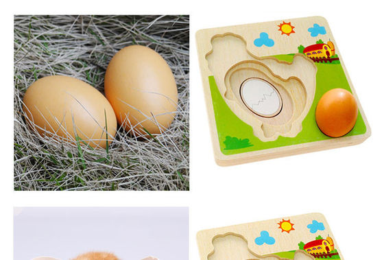 3D Chicken Growth Process Wooden Multi Layer Puzzle