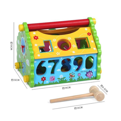 Kids Shape Sorter Wisdom House Wooden Montessori Bright