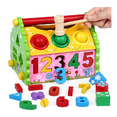 Kids Shape Sorter Wisdom House Wooden Montessori Bright