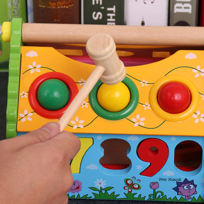 Kids Shape Sorter Wisdom House Wooden Montessori Bright